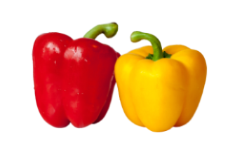 Болгарский перец