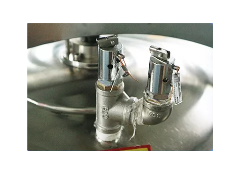 картинка Автоклава для стерилизации под давлением CM-75L-Steam от G2R